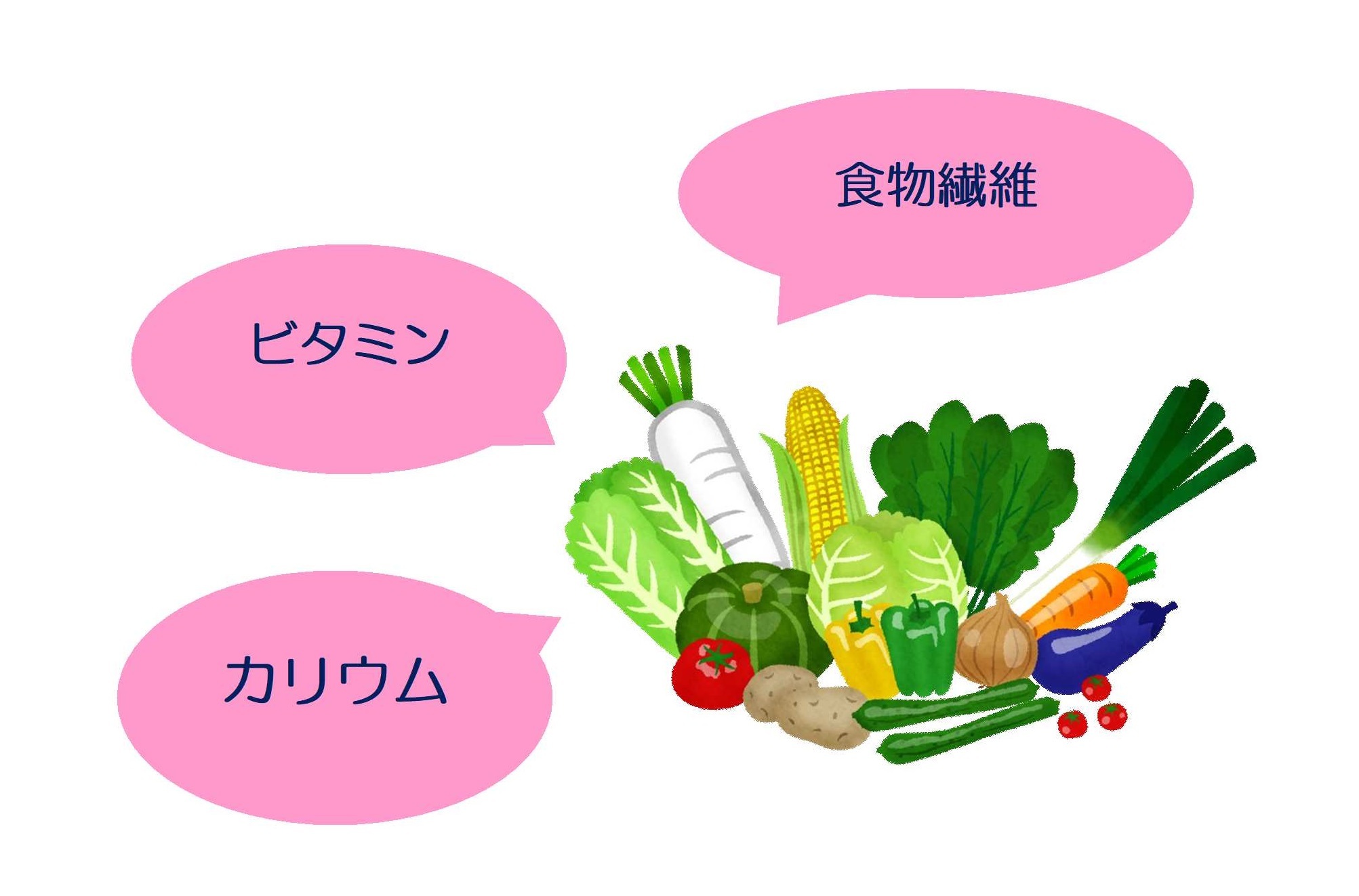 野菜を摂取しよう